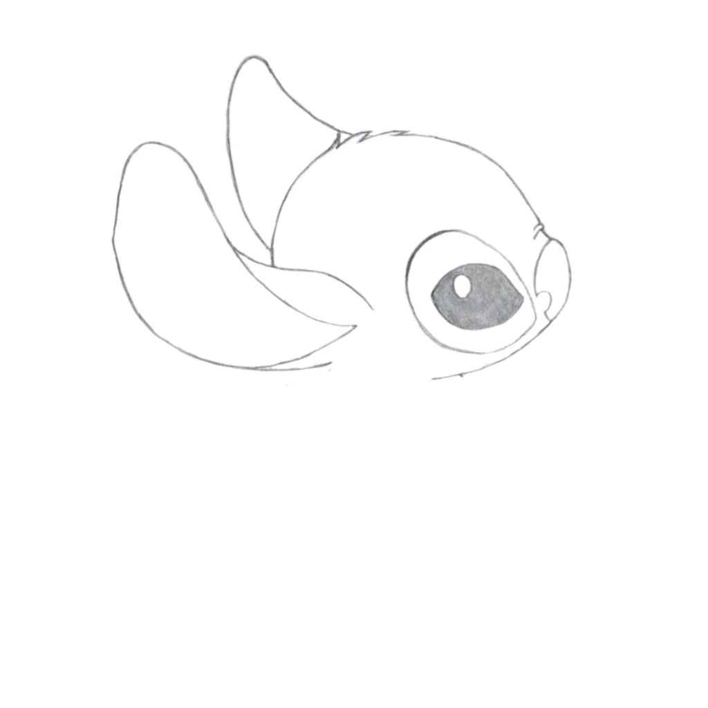 Step 5 Add the Ears