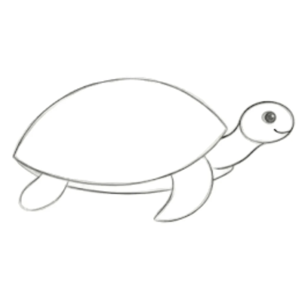 Step 6 Draw Rounded Shapes