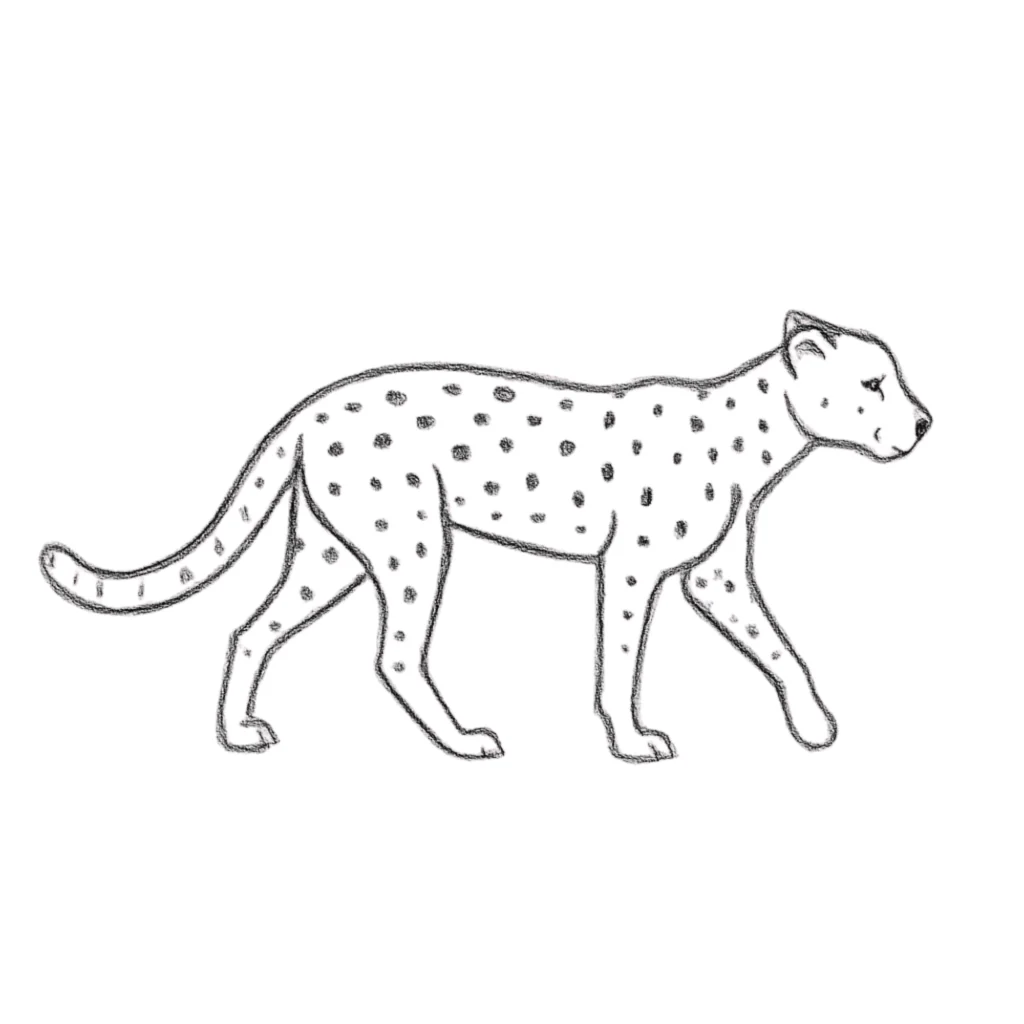 Step 6 Add Features