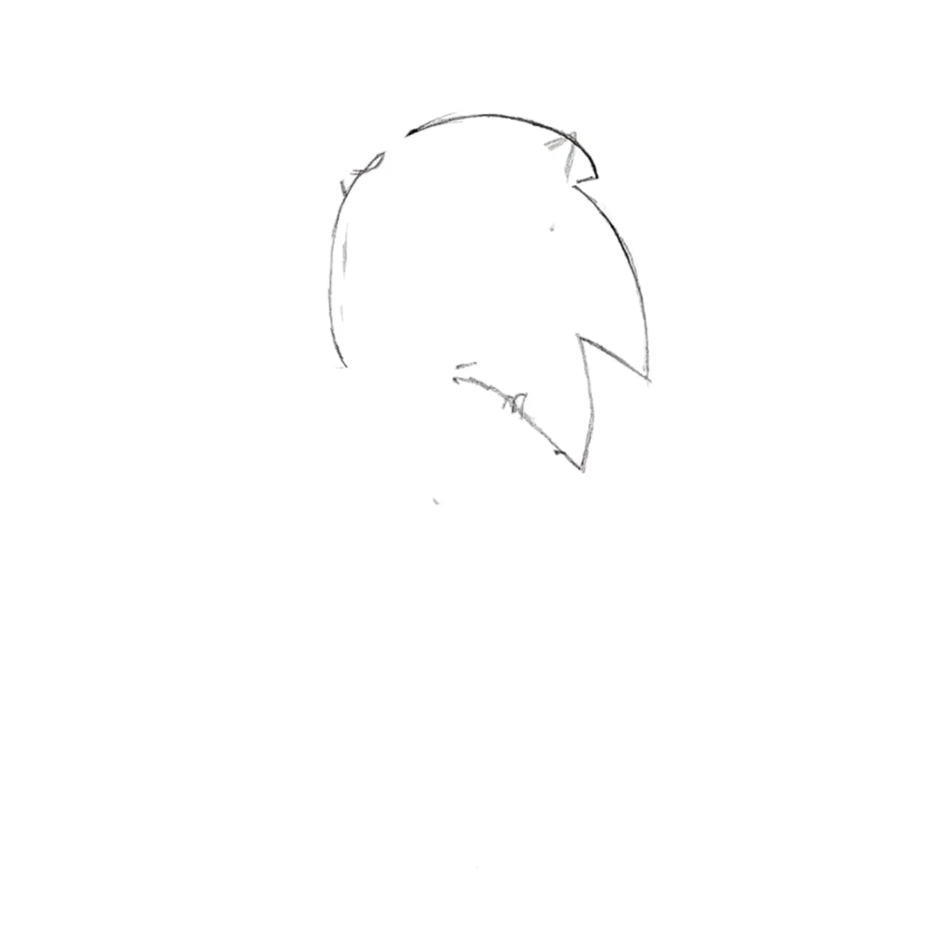 Step 1 Draw Head