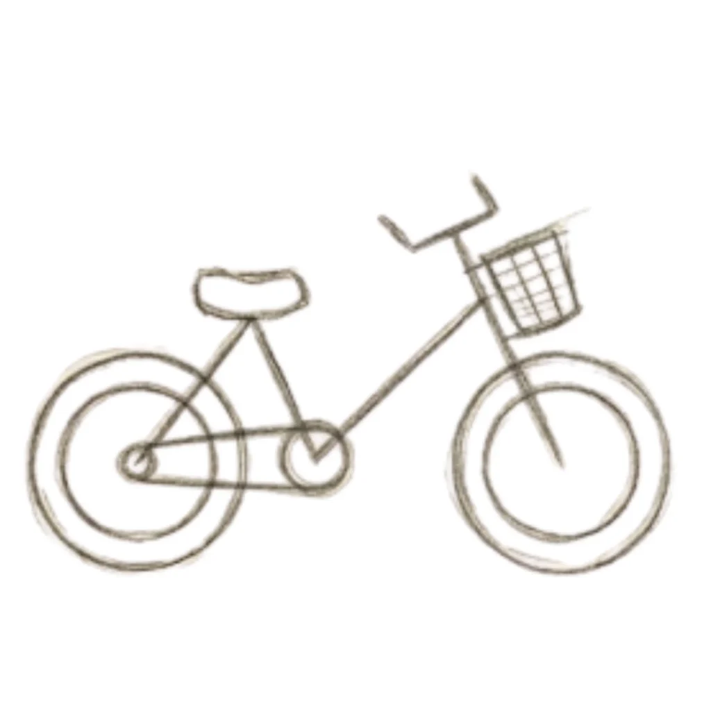 Step 5 Draw Basket