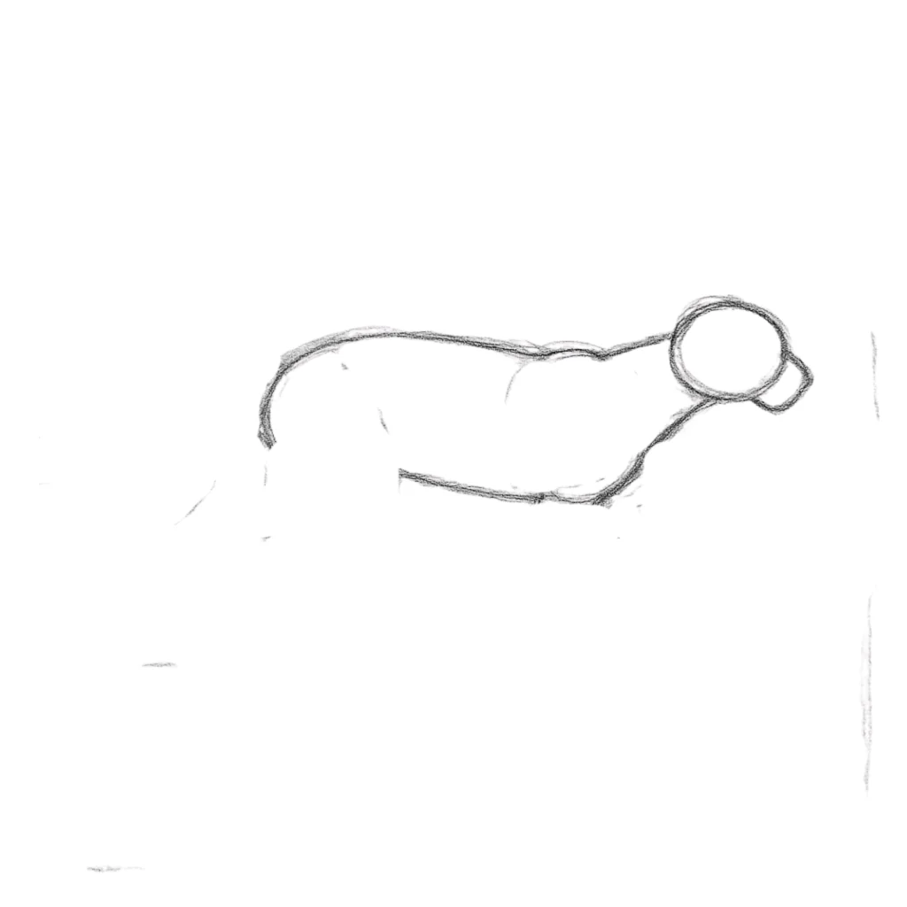 Step 3 Draw Body