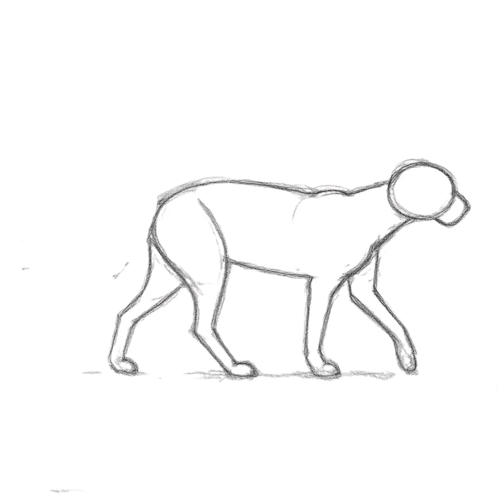 Step 4 Draw Legs