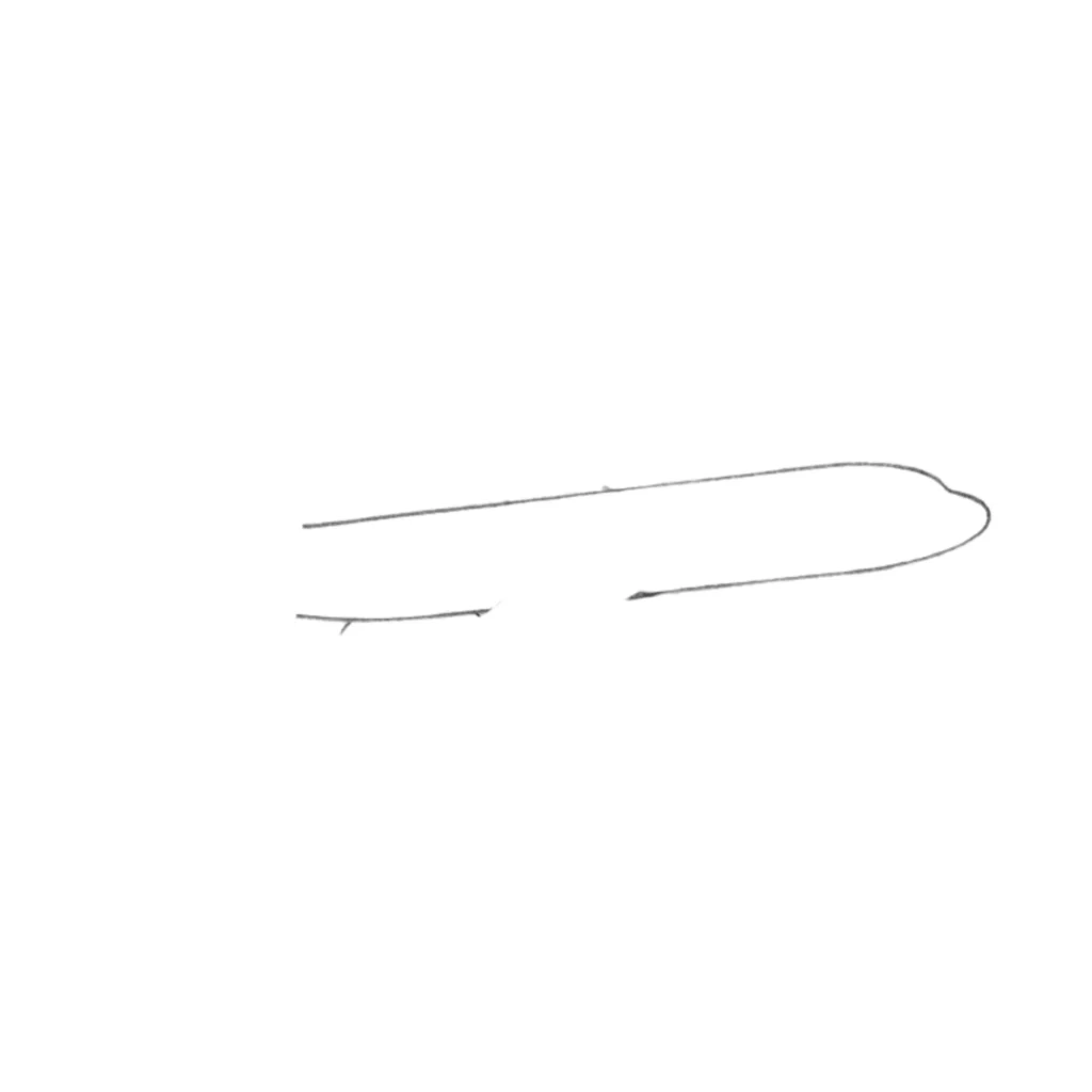 Step 1 Draw Two Lines