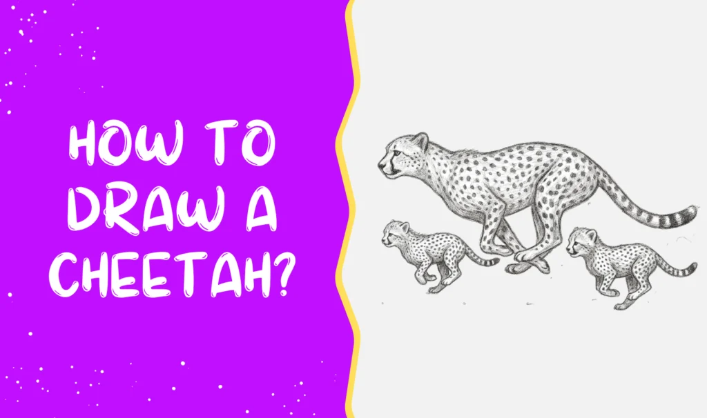 How To Draw A Cheetah