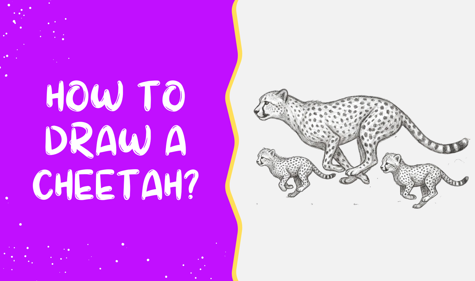 How to Draw a Cheetah for Kids | Easy Cheetah Drawing
