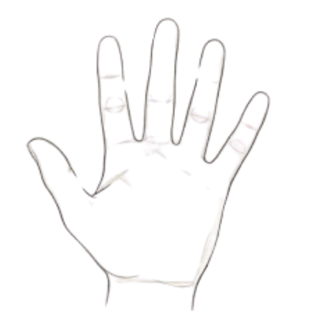 Step 3 Defining the Outlines