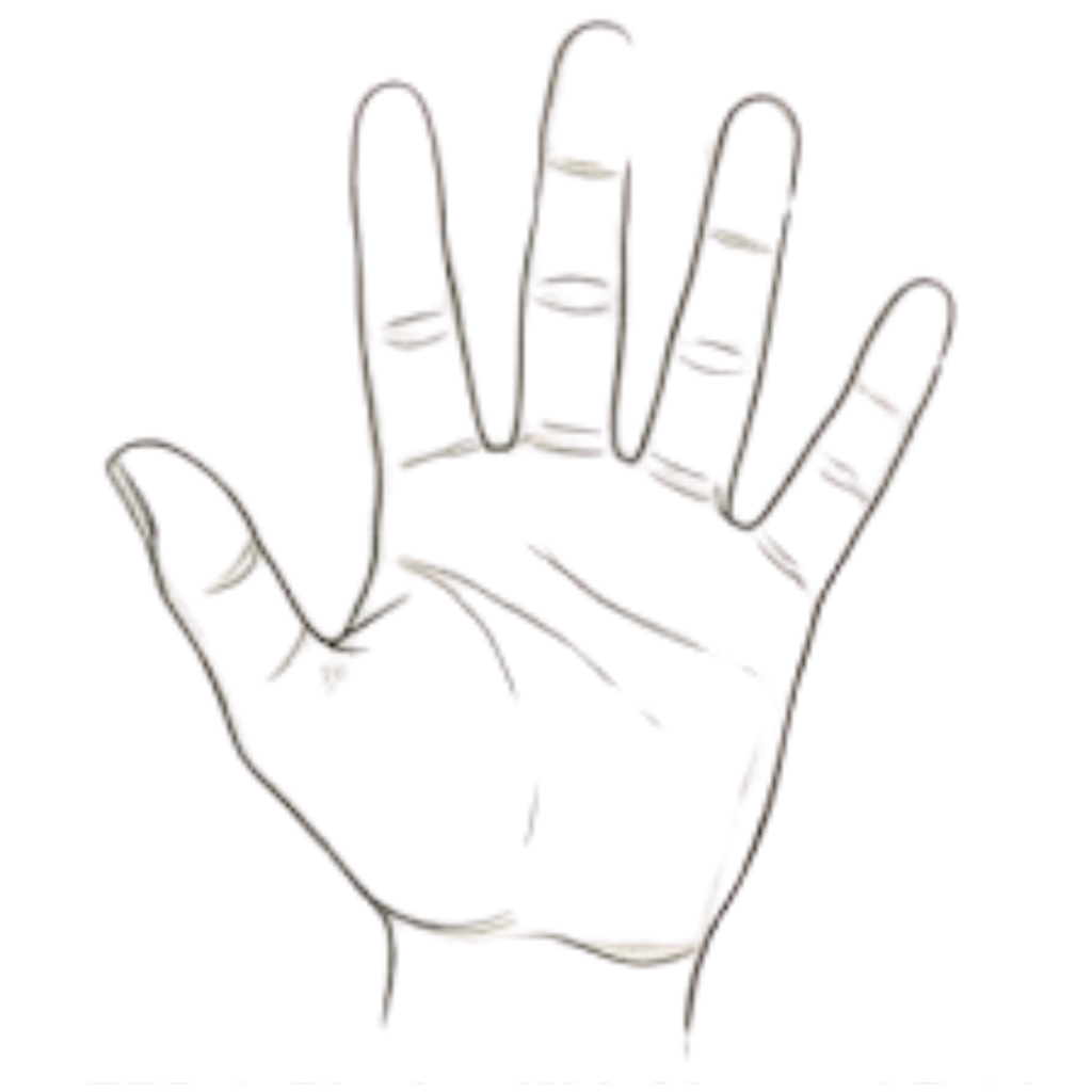 Step 5 Refining