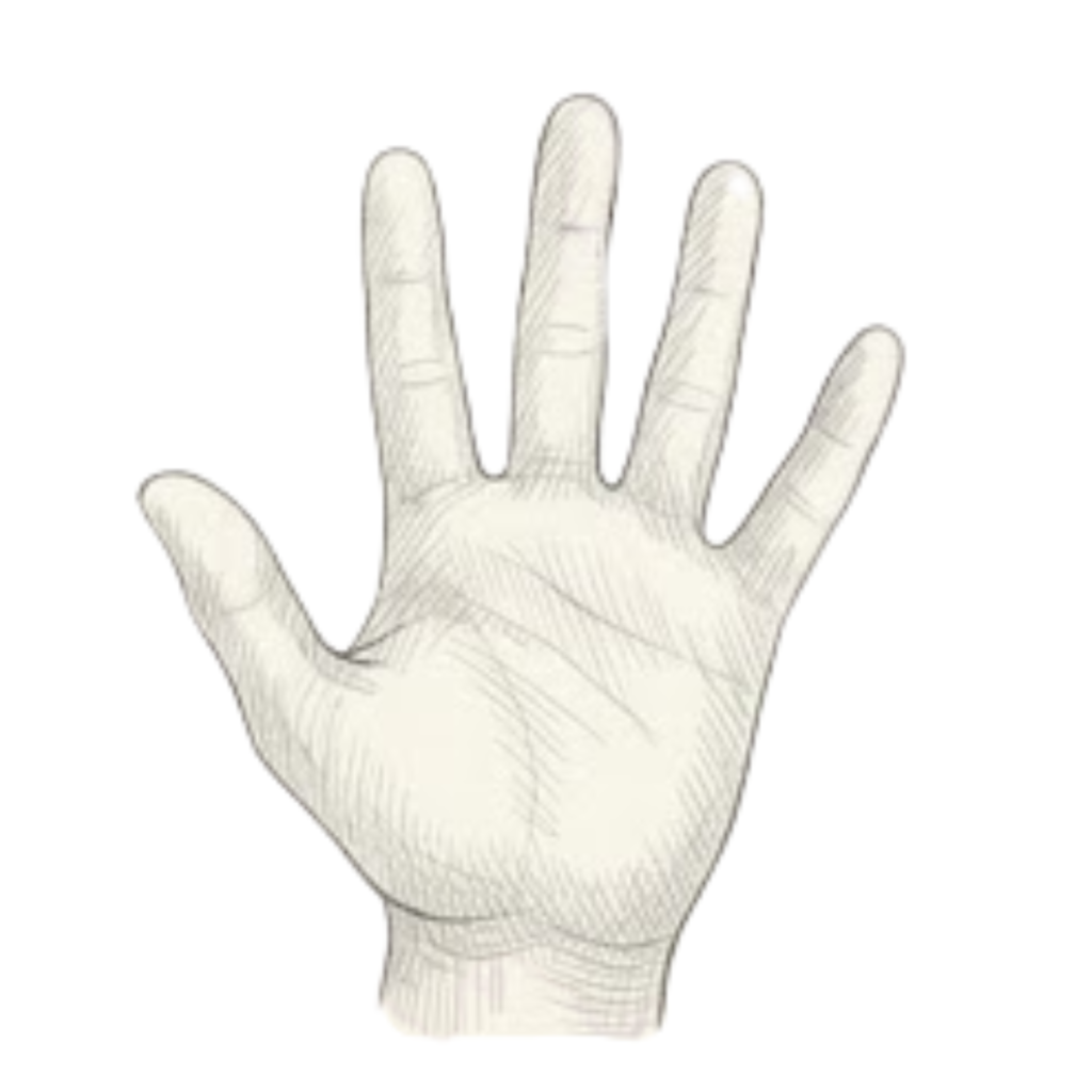 Step 6 Shading for Realistic Look